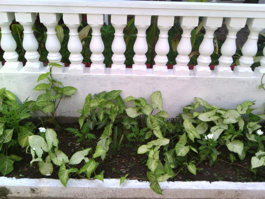 Nathans Holiday Home Kochi Chambre photo