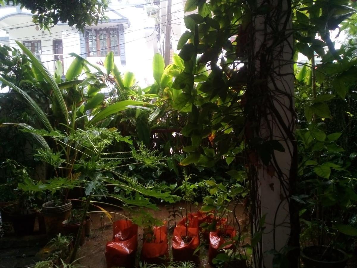 Nathans Holiday Home Kochi Extérieur photo